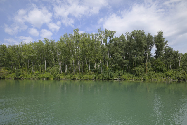 2023-2033-balade-nature-renaud-v-zin-19-4609