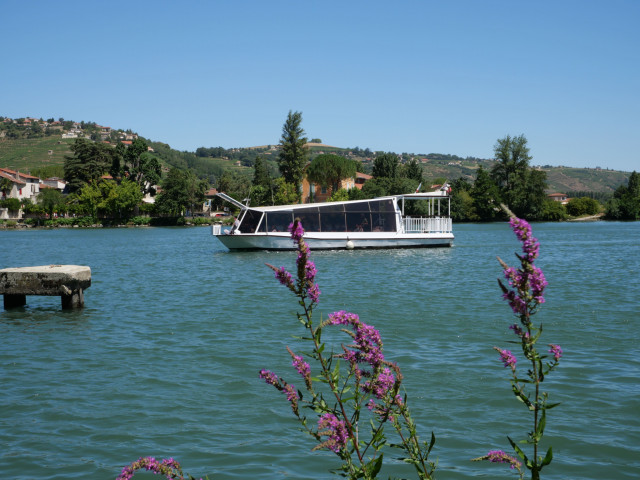 balade-bateau-ot-eber-4719